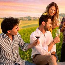 Bologne : visite d'une oliveraie et d'un vignoble avec dégustation de produits