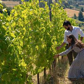 Tenuta Bonzara - Visite et dégustation de vins dans les Colli Bolognesi