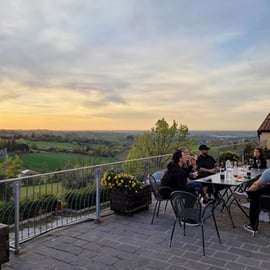 De Bologne: dégustation de vins et visite des vignobles
