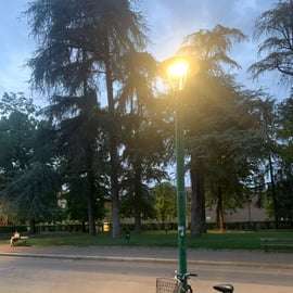 Visite nocturne panoramique de Bologne à vélo : lumières de la ville et vie locale