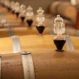 Bologna Vineyard Vista : un voyage à travers les vins émiliens