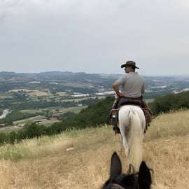 Bologne : balade à cheval dans les collines bolognaises