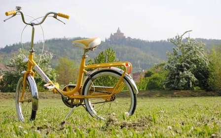 Bologne : visite panoramique à vélo