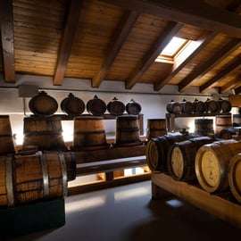 Modène - Bologne : visite d'une cave biologique et d'une vinaigrerie