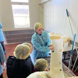 Dégustation de parmesan et de vinaigre balsamique à Modène