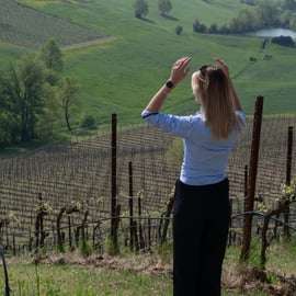 Au départ de Bologne : Wine Experience Colli Bolognesi