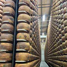 Excursion à Bologne : Ferrari, Parmigiano, Balsamique avec déjeuner léger