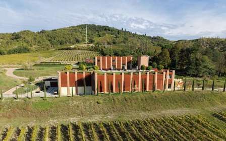 Bologne - Cantina Tomisa : Visite avec dégustation de vins biologiques