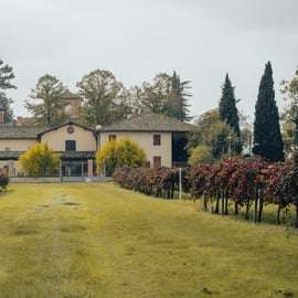 Castelvetro : visite de la cave et dégustation de Lambrusco