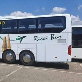 Bologne : Transfert en bus de l'aéroport Marconi vers/depuis la ville de Calenzano
