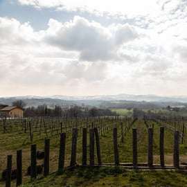 Modène - Bologne : visite d'une cave biologique et d'une vinaigrerie