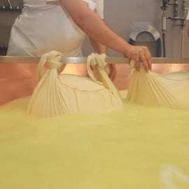 Depuis Bologne ou Modène : Visite gastronomique de Parme avec déjeuner