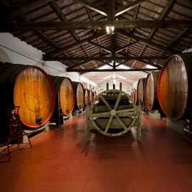 Modène : Dégustation de vin Lambrusco et visite de cave