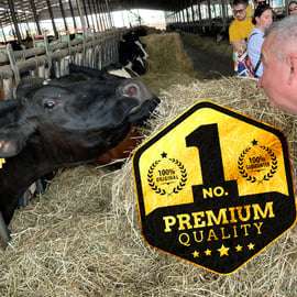Modène : visite privée autour du Parmigiano Reggiano bio avec dégustation