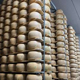 Visite privée du Parmigiano Reggiano, du Prosciutto et du Balsamico