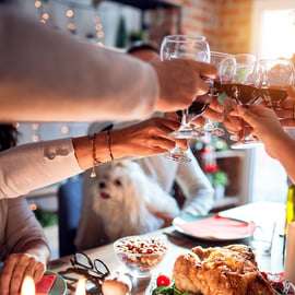 De Bologne: dégustation de vins et visite des vignobles