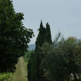 Dégustation de vins à Terre Rosse Vallania : histoire, nature, tradition.