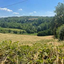 Visite guidée de la Fiat 500 sur les collines de Bologne