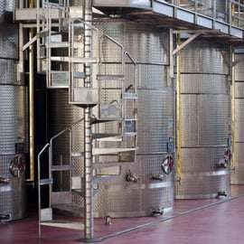 Modène : Dégustation de vin Lambrusco et visite de cave