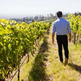 De Bologne: dégustation de vins et visite des vignobles