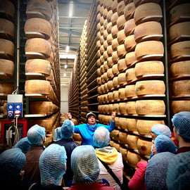 Modène : visite privée autour du Parmigiano Reggiano bio avec dégustation