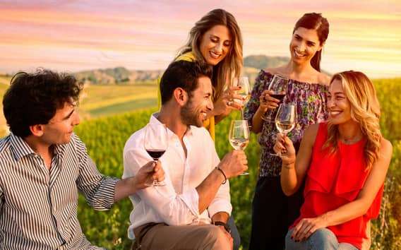Bologne : visite d'une oliveraie et d'un vignoble avec dégustation de produits
