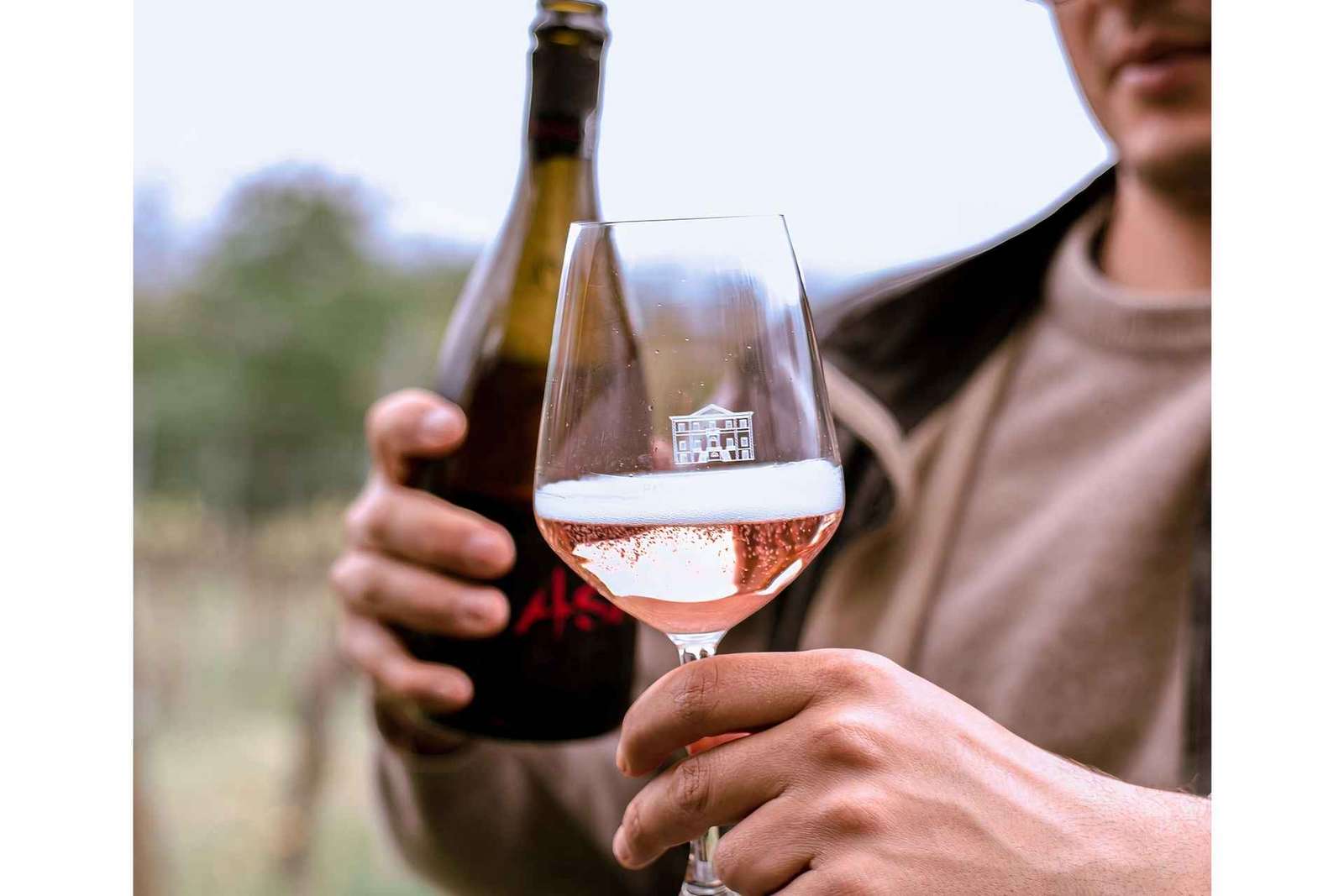 Ozzano Emilia : Visite guidée des caves avec dégustation de vin