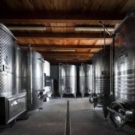 Modène - Bologne : visite d'une cave biologique et d'une vinaigrerie
