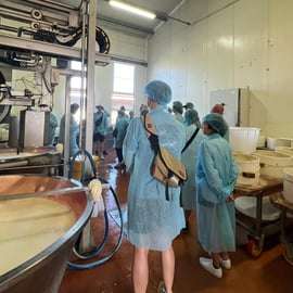 Journée Ferrari, parmesan et balsamique au départ de Bologne