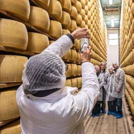 Depuis Bologne : visite autour du Parmigiano, du vinaigre balsamique et du prosciutto