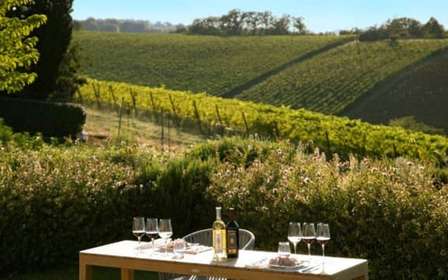 Dégustation de vins avec accord mets et vins près de Bologne