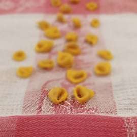 Bologne : cours de cuisine : tortellini et apéritif