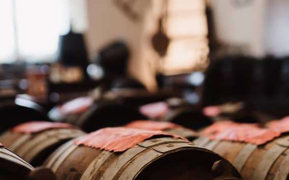 Modène : Visite culinaire du vinaigre balsamique, dégustation et accords mets-vins