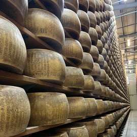 Musée Ferrari, fromage parmesan, visite culinaire du vinaigre balsamique