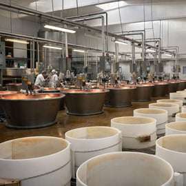 Visite d'une fromagerie de Parmigiano près de Modène et dégustation