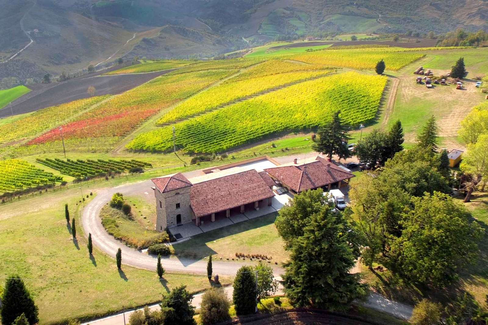 Tenuta Bonzara - Visite et dégustation de vins dans les Colli Bolognesi