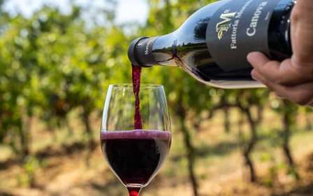 Fattoria Moretto : Visite Lambrusco Grasparossa di Collina