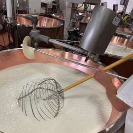 Modène : visite privée autour du Parmigiano Reggiano bio avec dégustation