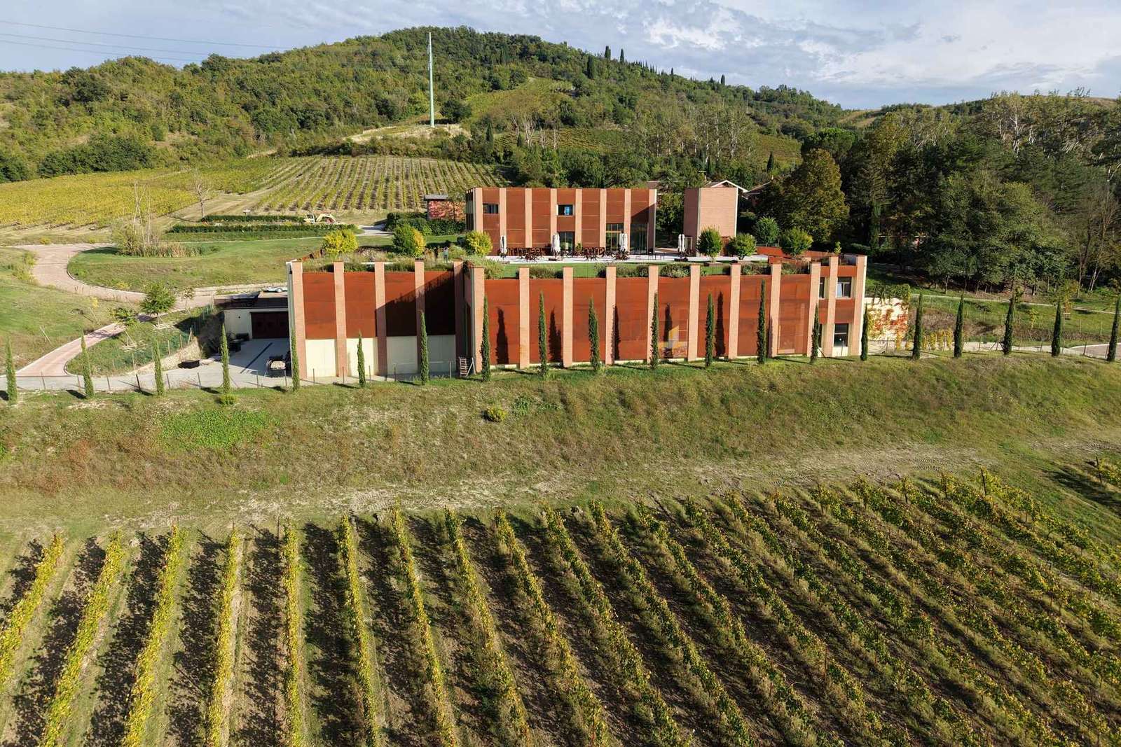 Bologne - Cantina Tomisa : Visite avec dégustation de vins biologiques