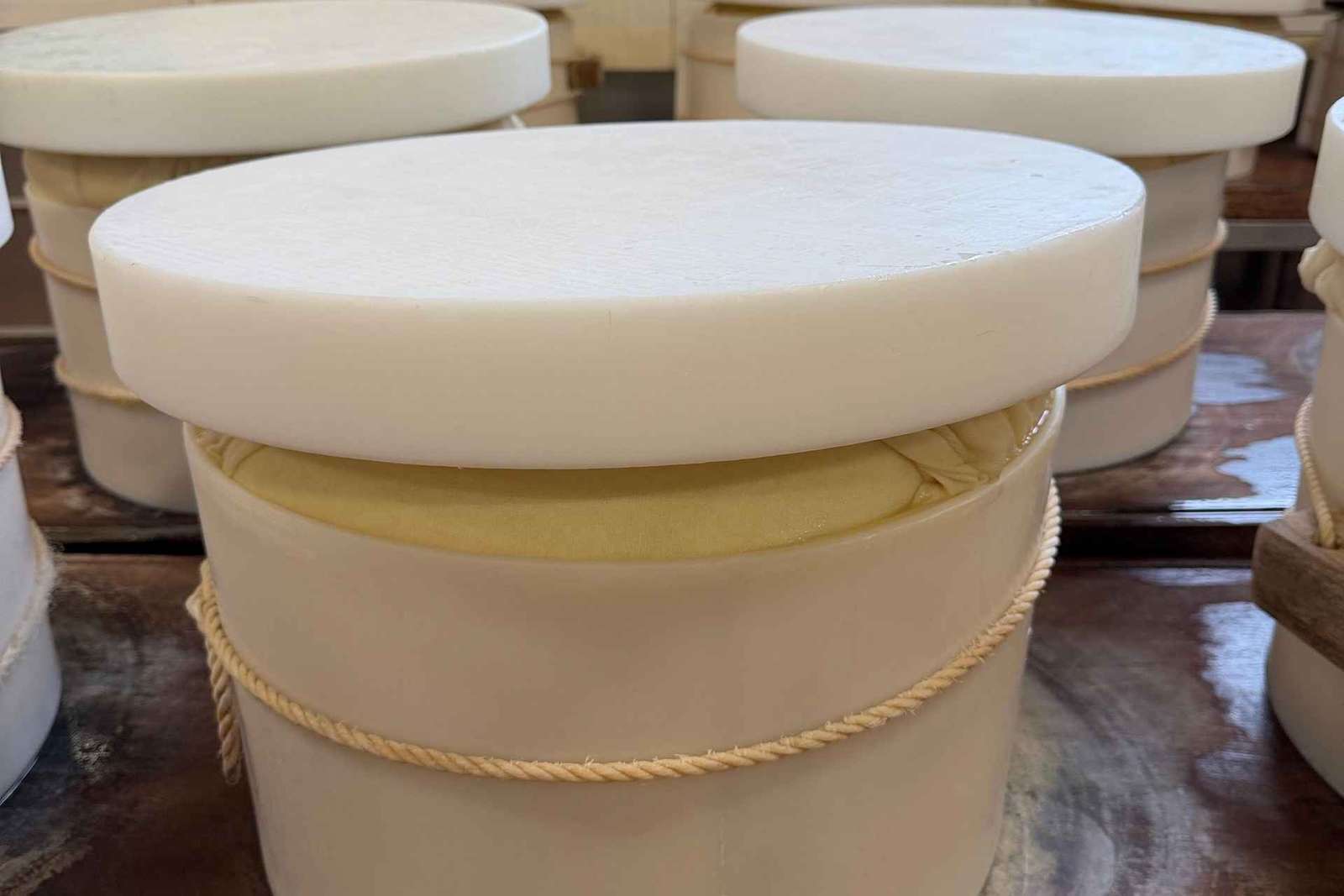 De Bologne : visite du fromage parmesan et du vinaigre balsamique + déjeuner