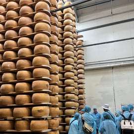 Visite culinaire au parmesan et au balsamique avec le musée Ferrari