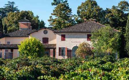 Castelvetro : visite de la cave et dégustation de Lambrusco
