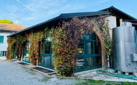 Dégustation de vins à Terre Rosse Vallania : histoire, nature, tradition.