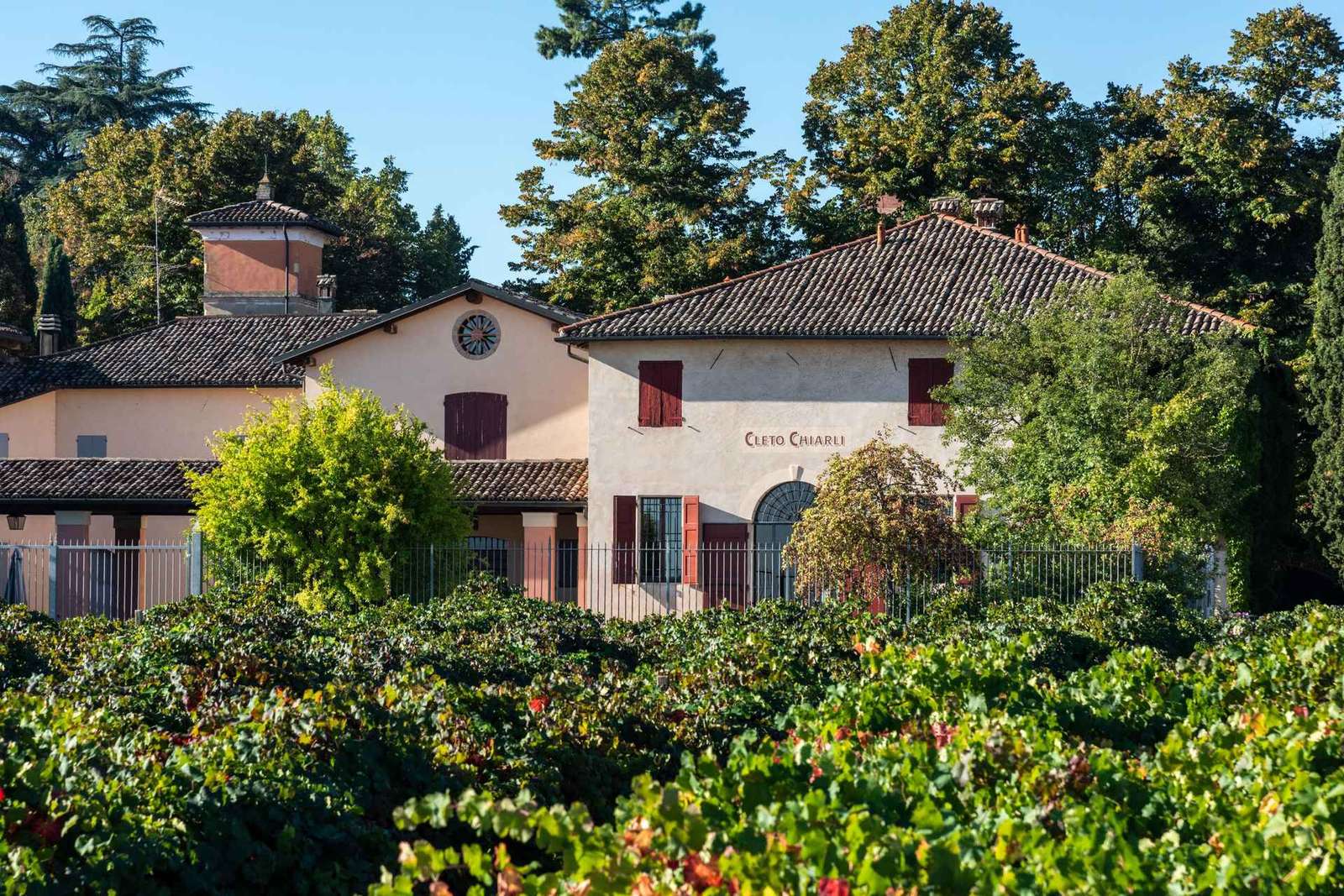 Castelvetro : visite de la cave et dégustation de Lambrusco