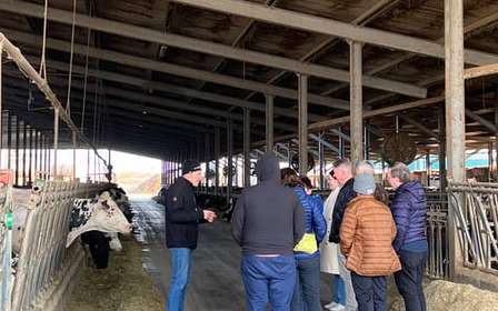 Excursion à Bologne : Ferrari, Parmigiano, Balsamique avec déjeuner léger