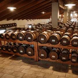 Modène : visite guidée de la vinaigrerie et dégustation de vinaigre balsamique