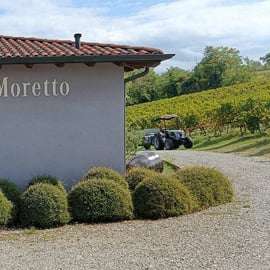 Fattoria Moretto : Visite Lambrusco Grasparossa di Collina